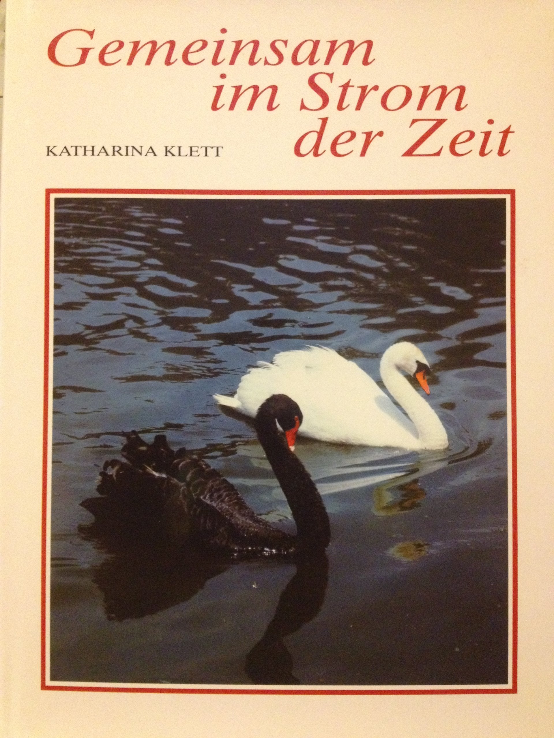 Gemeinsam im Strom der Zeit (Livre en allemand) book