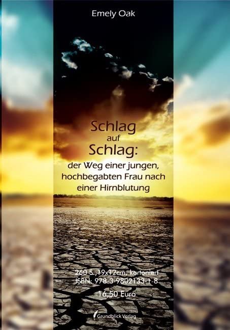 Schlag auf Schlag: der Weg einer jungen, hochbegabten Frau nach einer Hirnblutung Contemporary literature