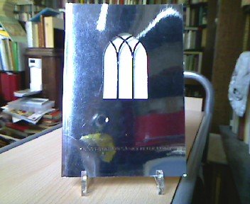 Projektion /Reflexion: Ein Projekt für Sankt Peter in Köln Books