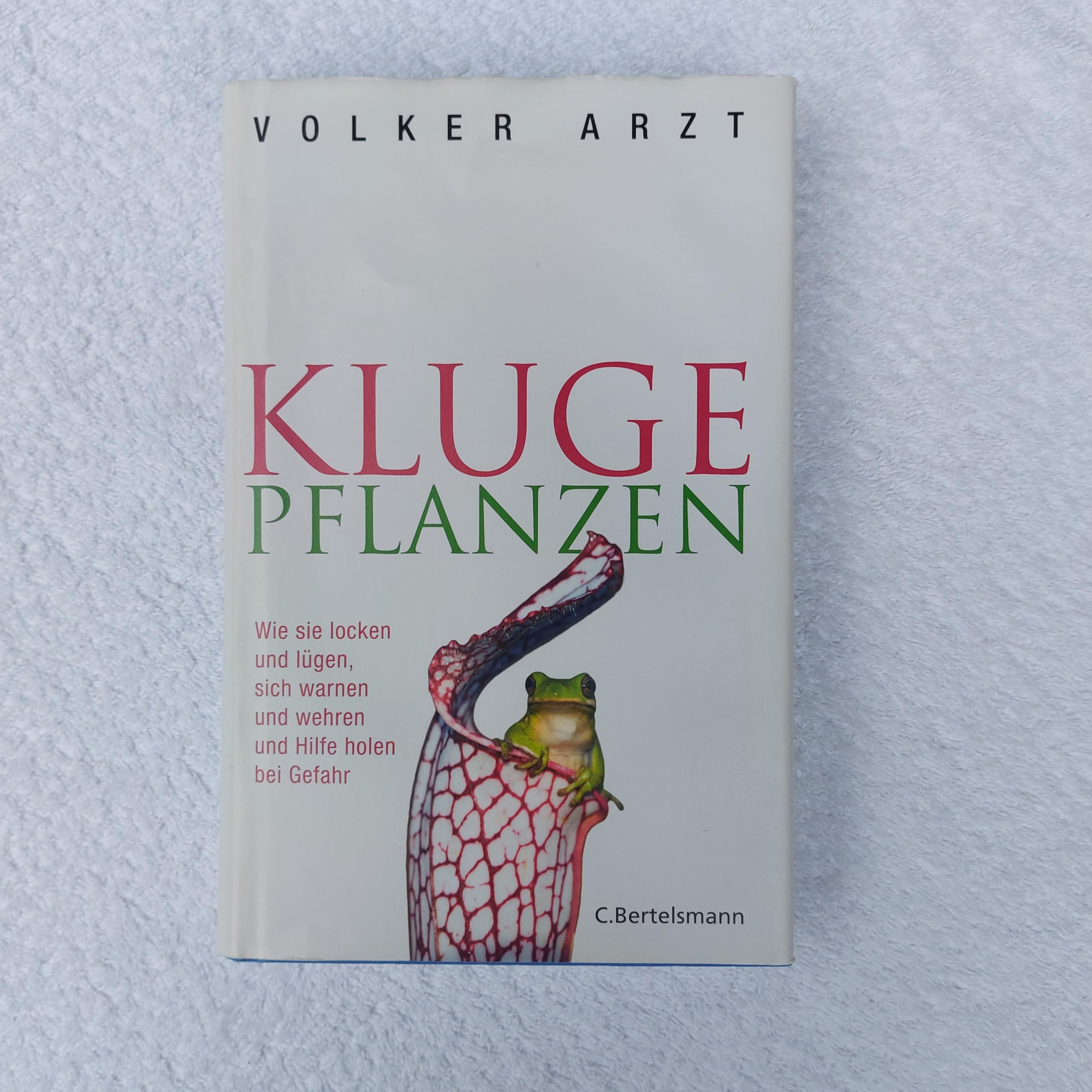 Zwischen Kirchturm, Kornfeld und Karl May Books