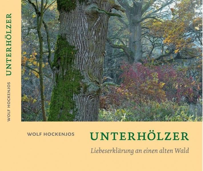 Unterhölzer: Liebeserklärung an einen alten Wald Business & Technology