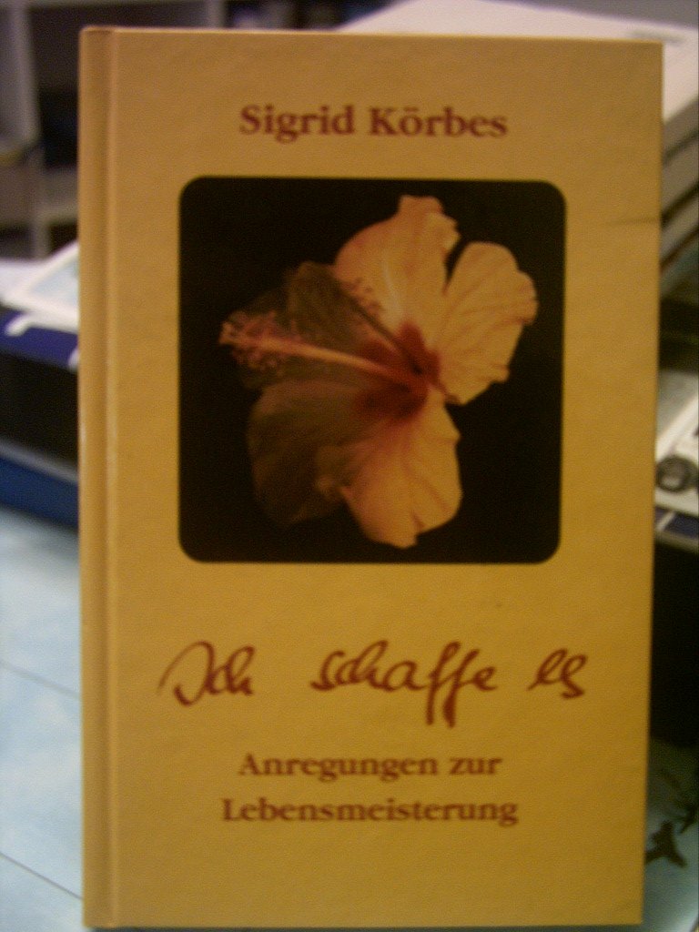 Ich schaffe es: Anregungen zur Lebensmeisterung Lifestyle