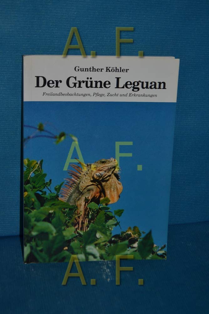 Der Grüne Leguan: Freilandbeobachtungen, Pflege, Zucht und Erkrankungen Medicine