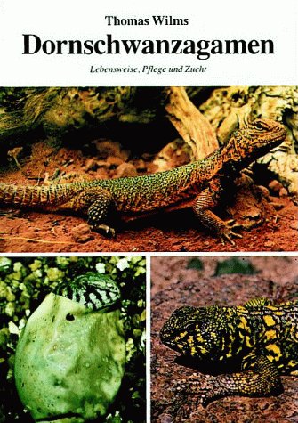 Dornschwanzagamen: Lebensweise, Pflege und Zucht book