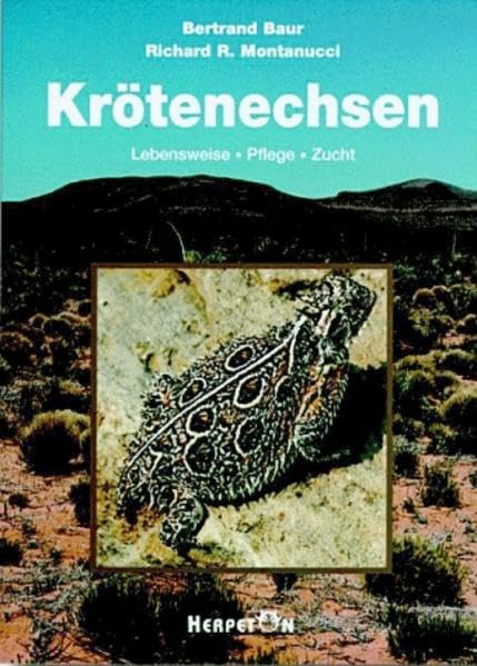 Krötenechsen: Lebensweise, Pflege, Zucht Pets