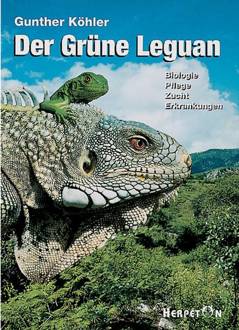 Der Grüne Leguan Pets