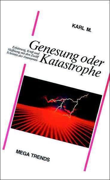 Genesung oder Katastrophe: Erfahrung, Kraft und Hoffnung mit den Zwölf Schritten der Anonymen... Politics & History