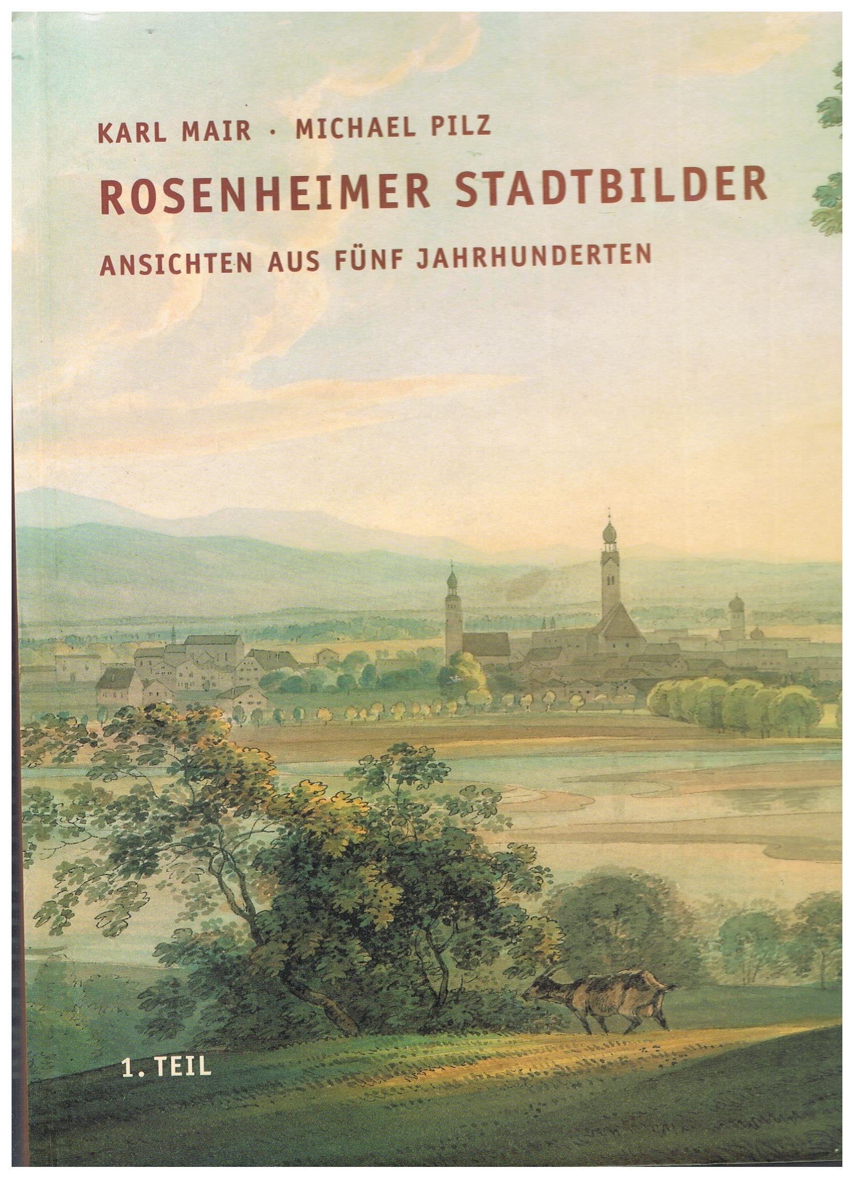 Rosenheimer Stadtbilder: Ansichten aus fünf Jahrhunderten - 1. Teil: Vom Mittelalter bis zur Sttadterhebung (Quellen und Darstellungen zur Geschichte der Stadt und des Landkreises Rosenheim) Politics & History