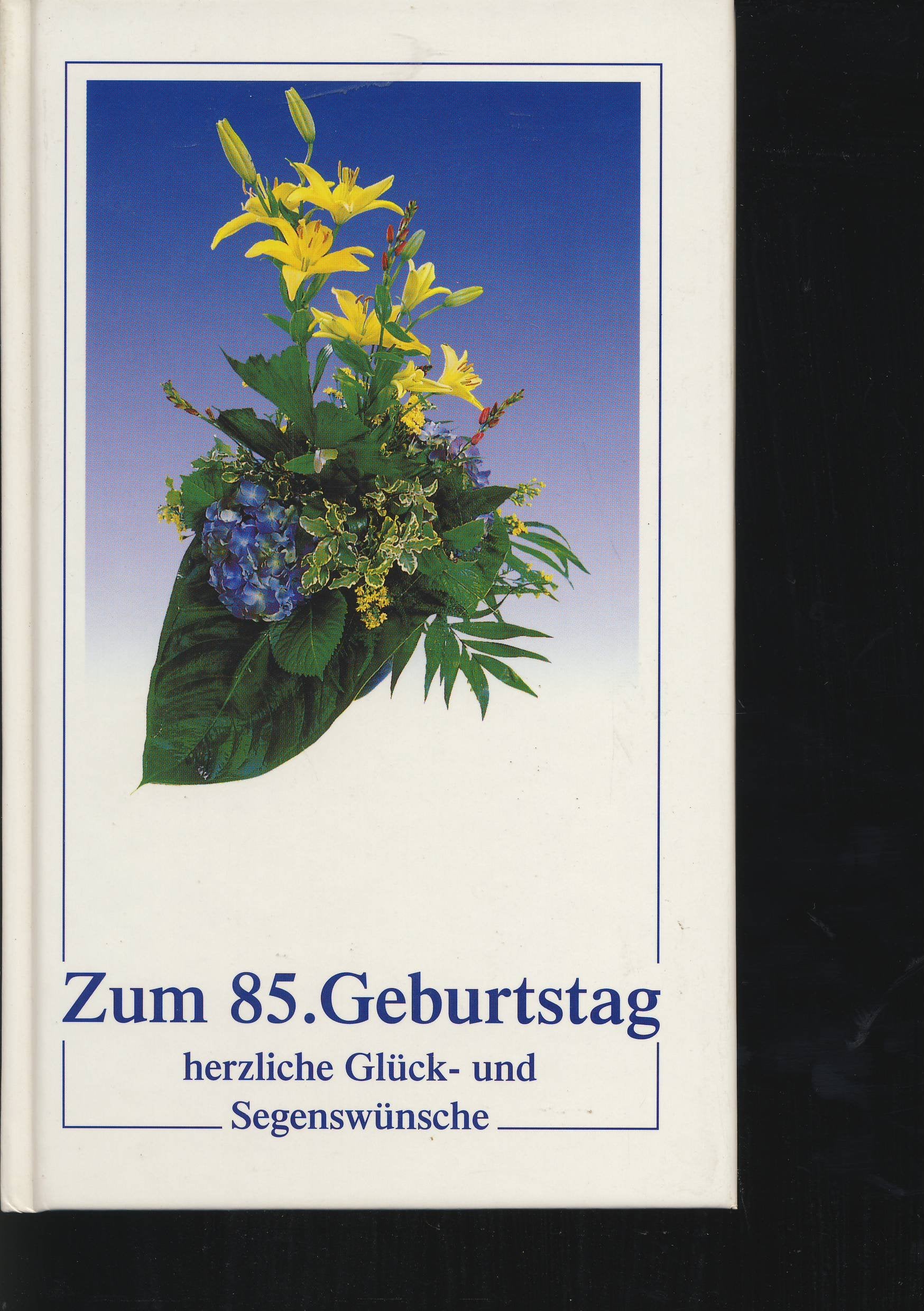 Zum 85. Geburtstag herzliche Glück- und Segenswünsche (Kleine Präsente Isenburg) Books