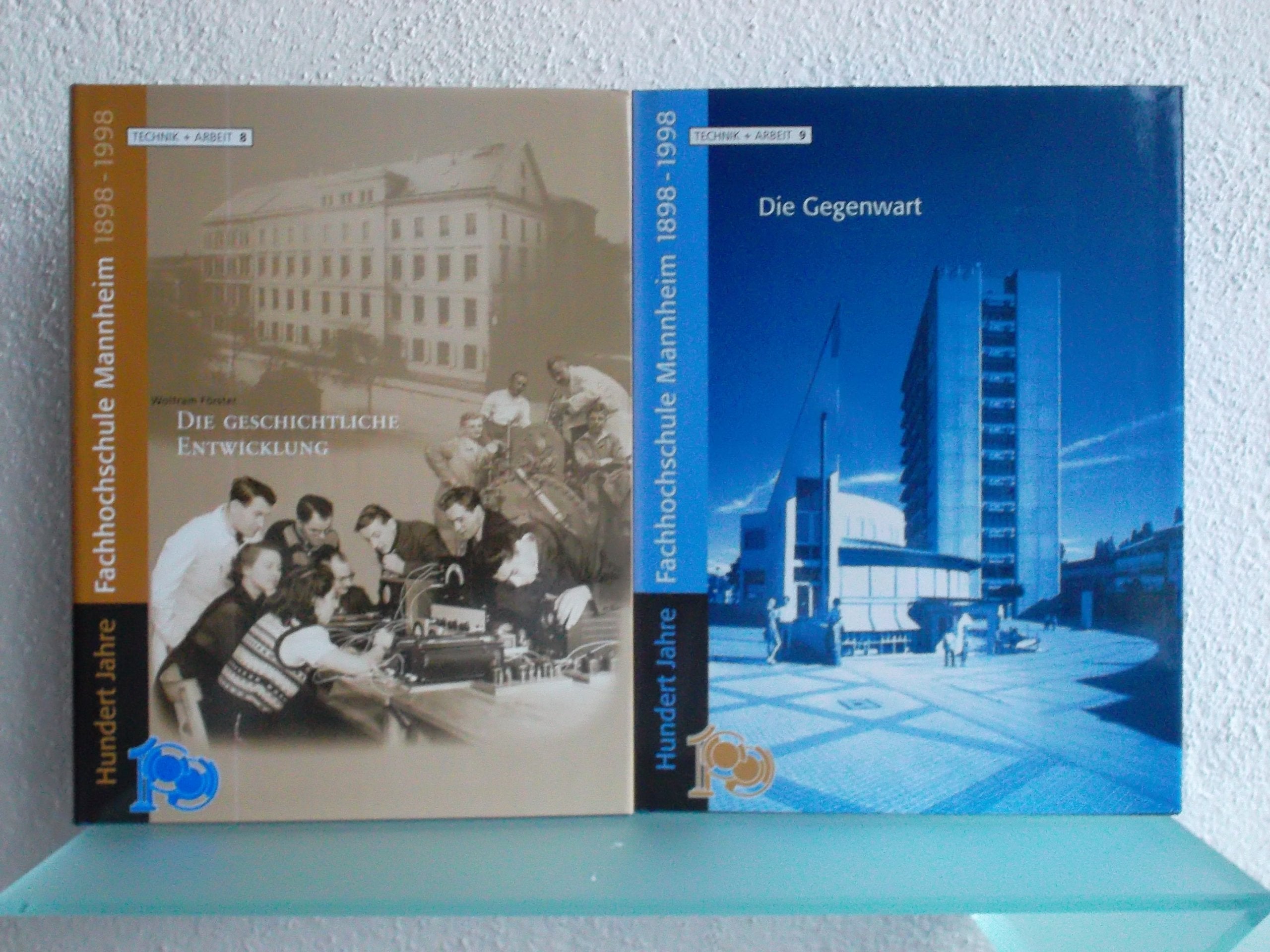 Hundert Jahre Fachhochschule Mannheim 1898-1998: Die geschichtliche Entwicklung Religion & Esotericism