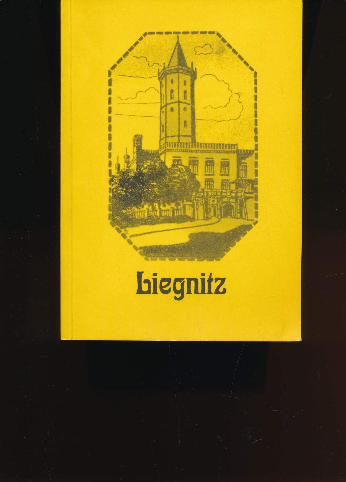 Liegnitz: (Auszug aus "Liegnitz und die Liegnitzer Landschaft"). Ein modernes Städtebuch für jung und alt - Clemenz, B book