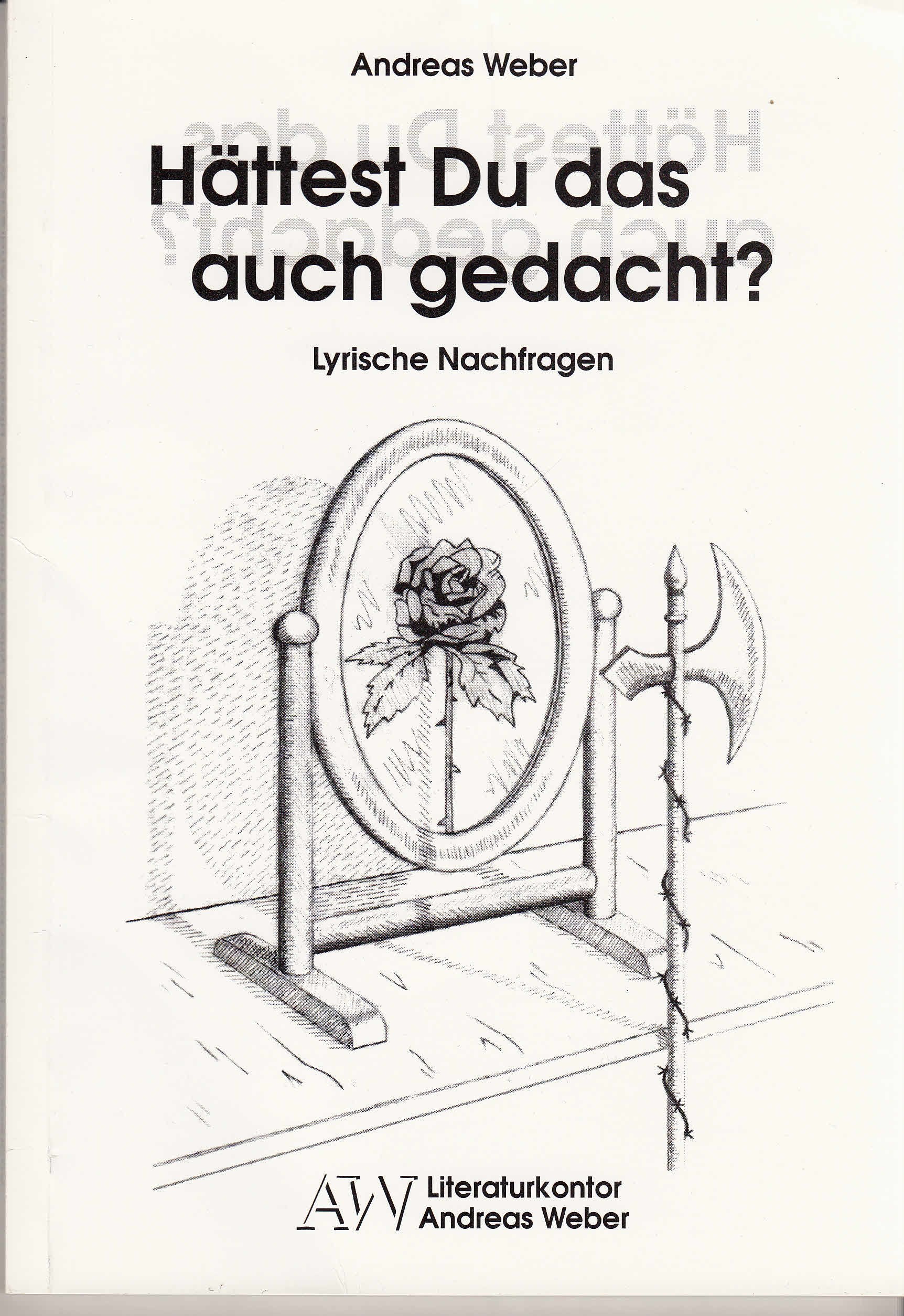 Hättest Du das auch gedacht?. Lyrische Nachfragen Books