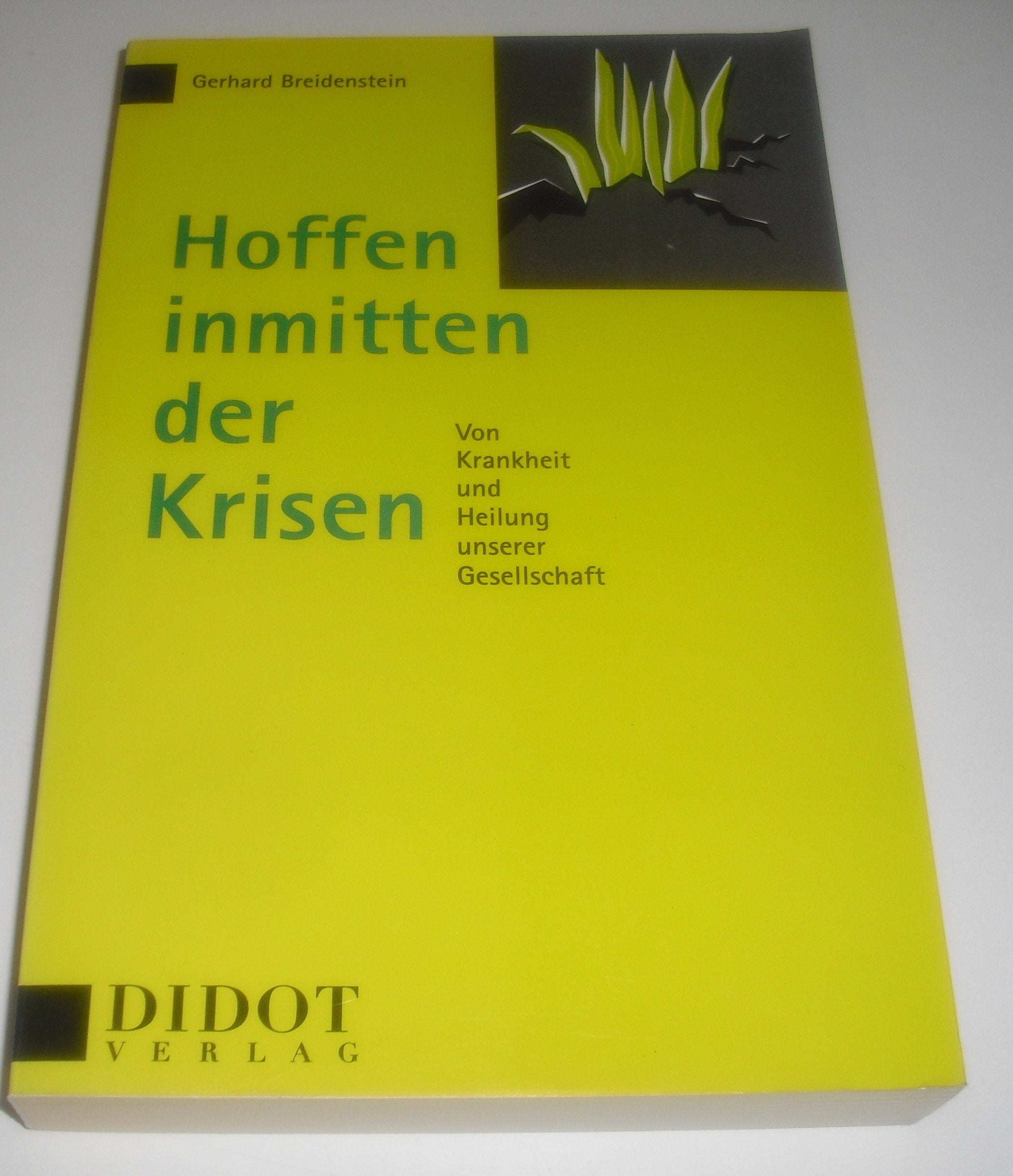 Hoffen inmitten der Krisen. Von Krankheit und Heilung unserer Gesellschaft Natural Sciences