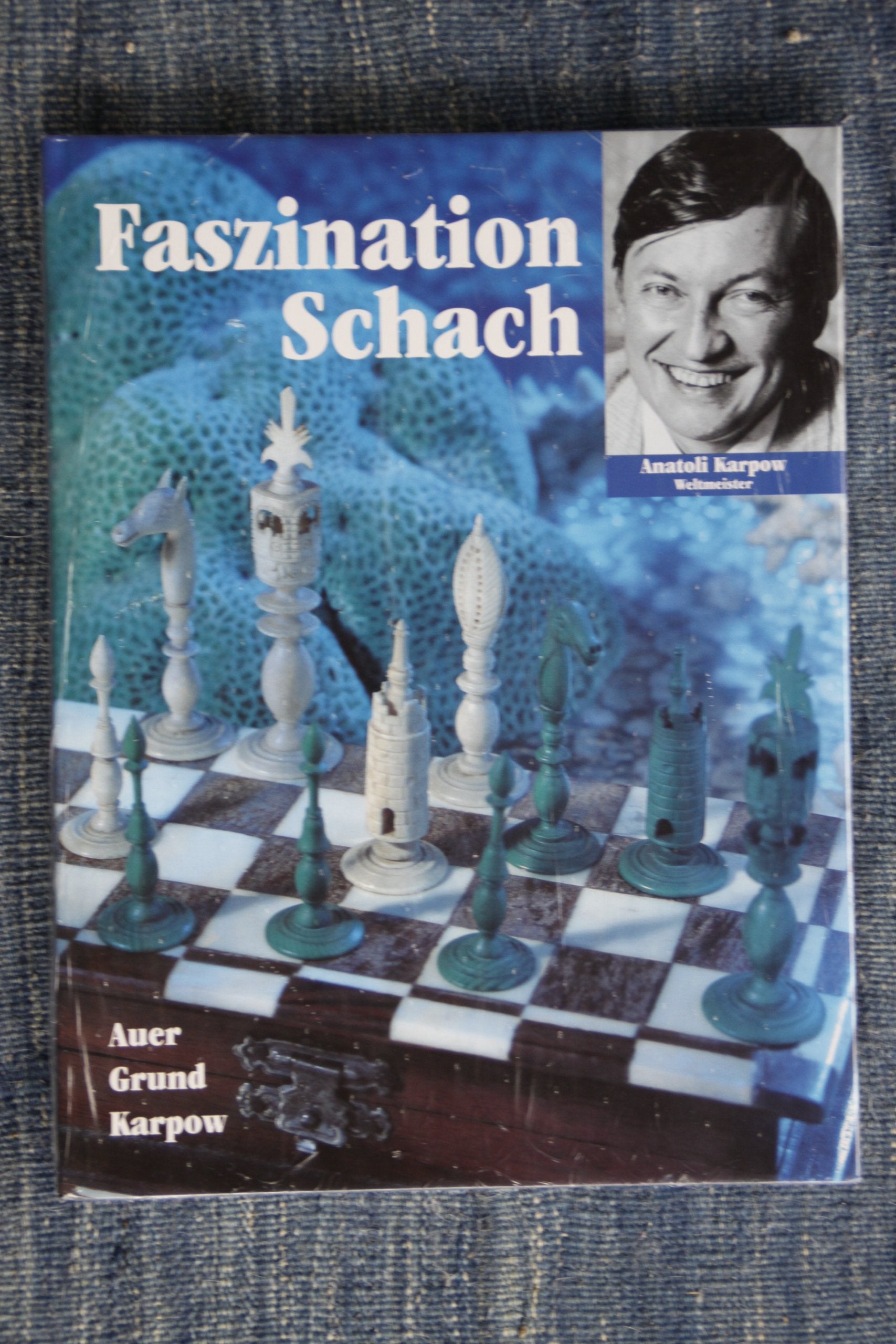 Faszination Schach: Perlen der Schachkunst. Vorw. v. Anatoli Karpow Contemporary literature