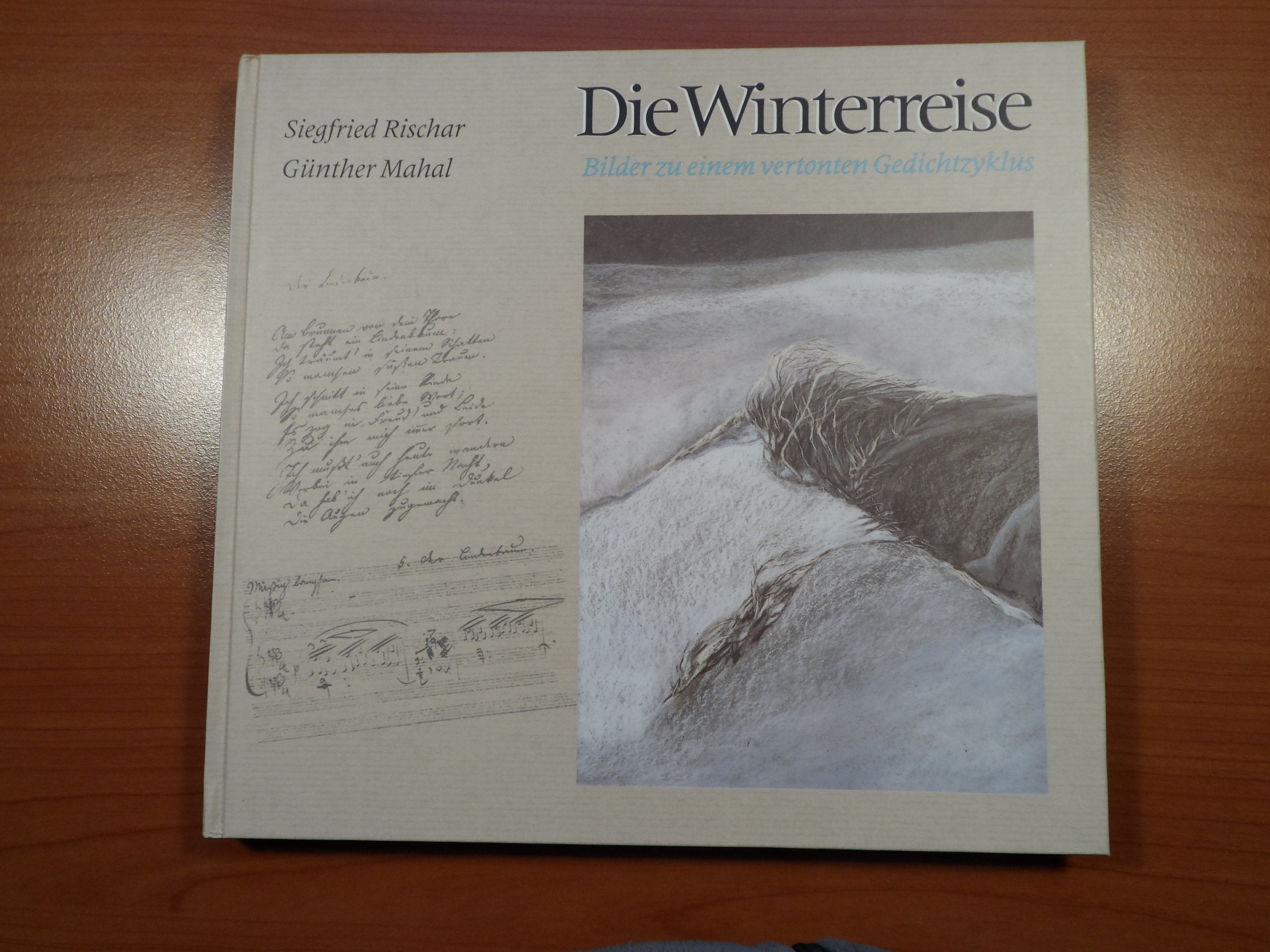 Die Winterreise: Bilder zu einem vertonten Gedichtzyklus Books