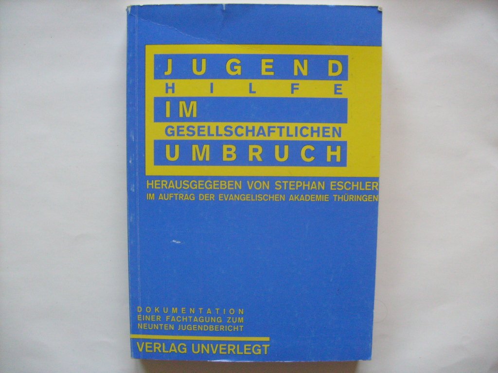 Jugendhilfe im gesellschaftlichen Umbruch. Dokumentation einer Fachtagung zum Neunten Jugendbericht der Bundesregierung Books