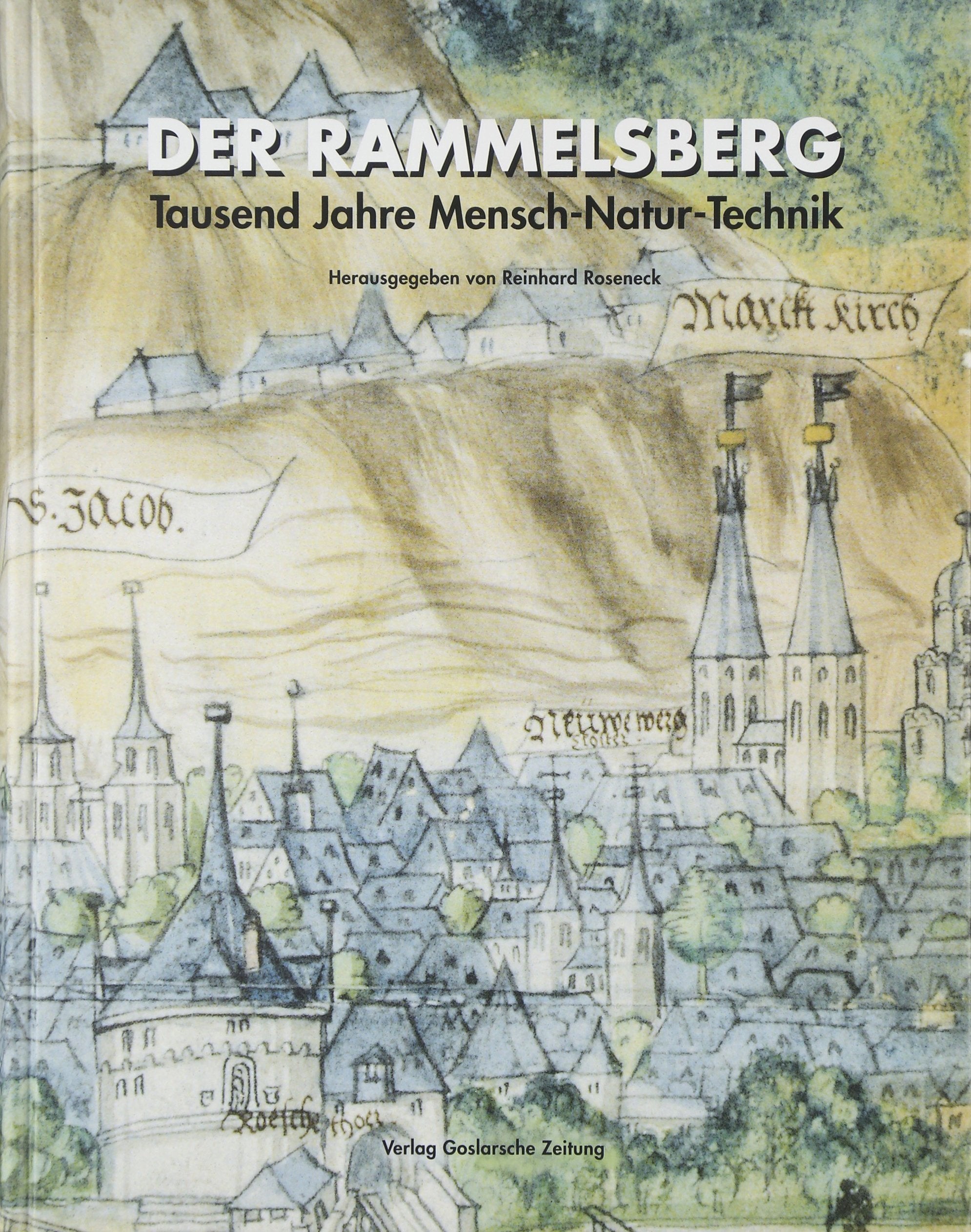 Der Rammelsberg. Tausend Jahre Mensch - Natur - Technik Business & Technology