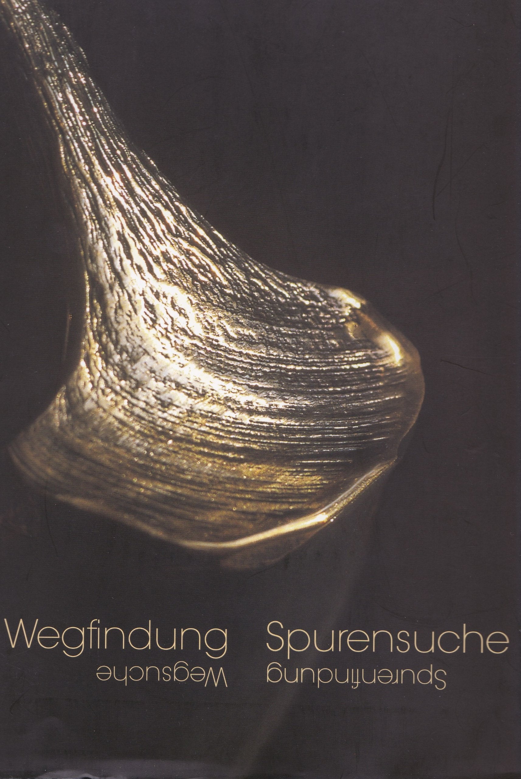 Wegfindung Spurensuche Film, Art & Culture