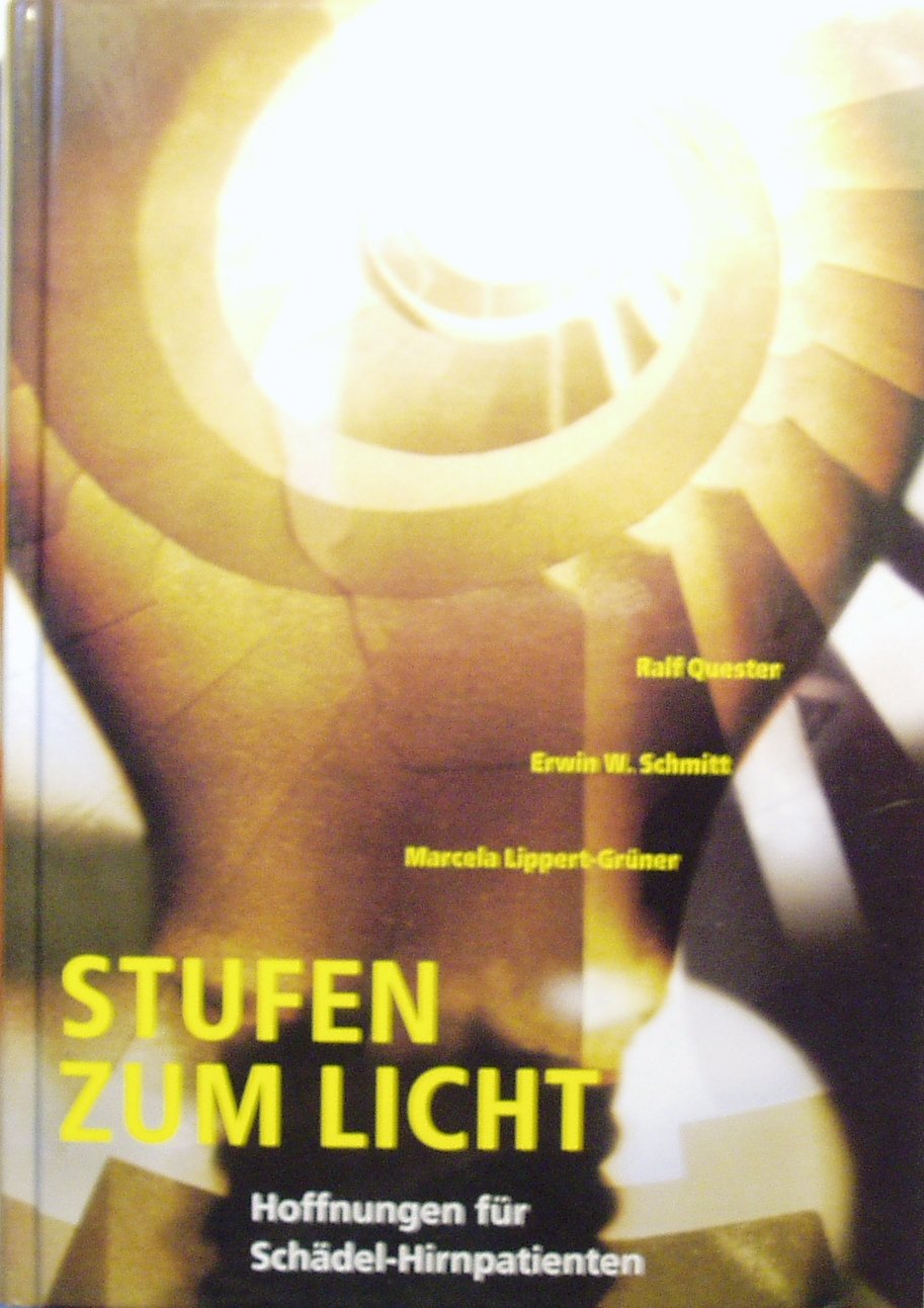 Stufen zum Licht - Hoffnung für Schädel-Hirnpatienten Books