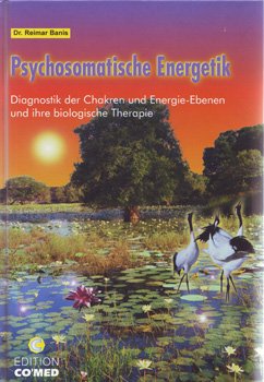 Psychosomatische Energetik Diagnostik der Chakren und Energie-Ebenen Medicine