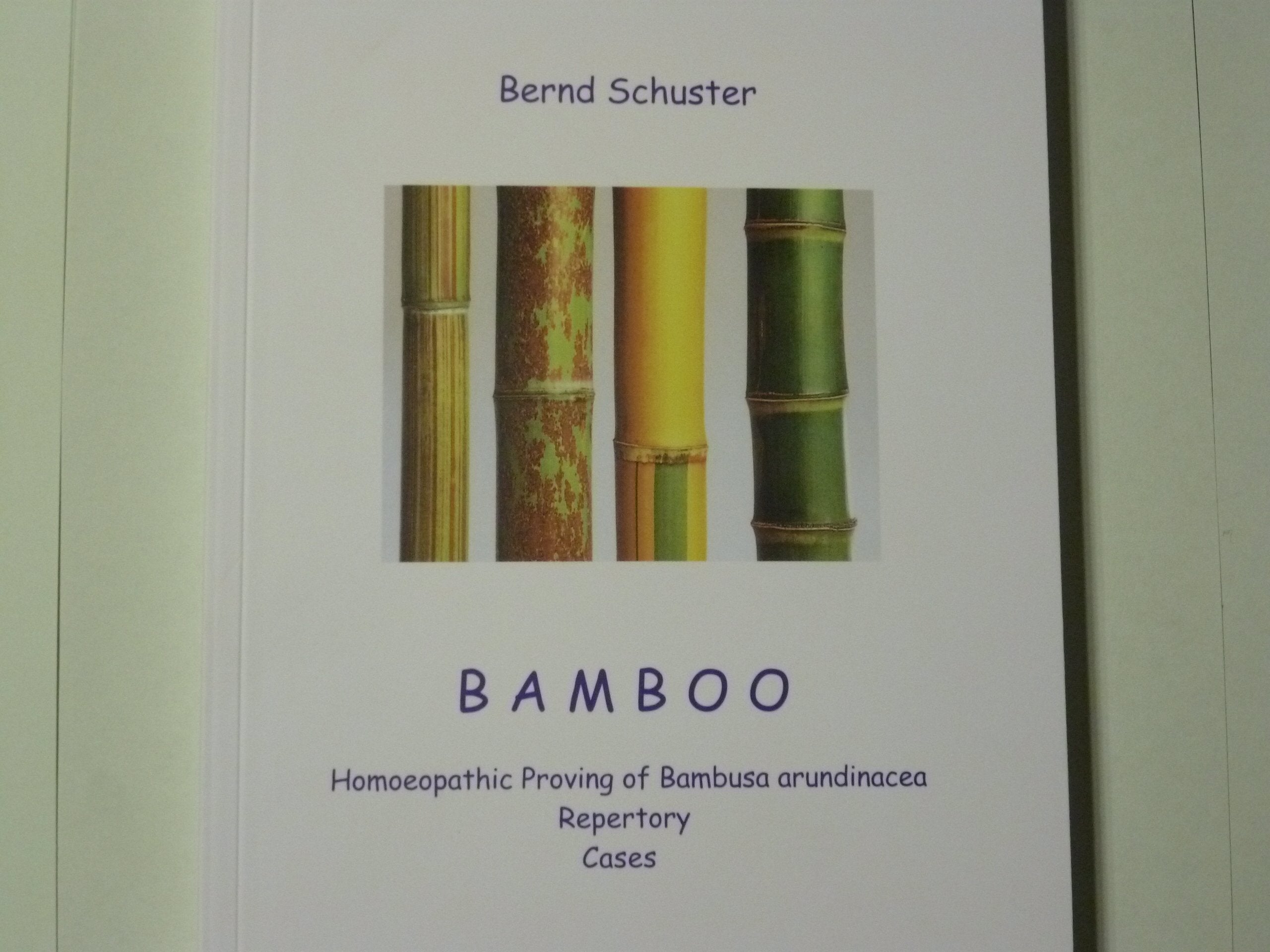 Bamboo: Homeopathic proving of Bambusa arundinacea Medicine
