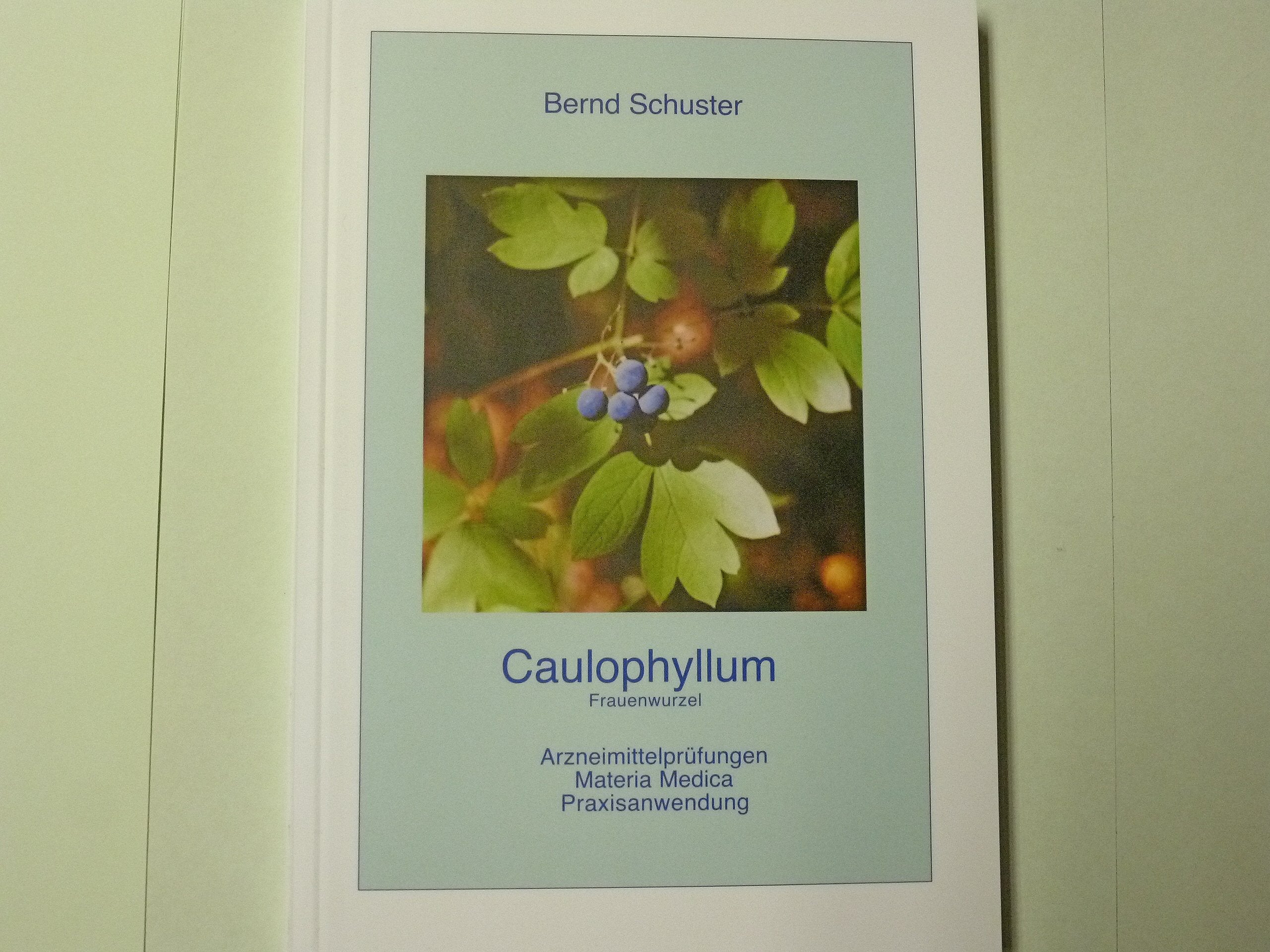 Caulophyllum: Arzneimittelprüfungen, Materia Medica, Praxisanwendung Medicine