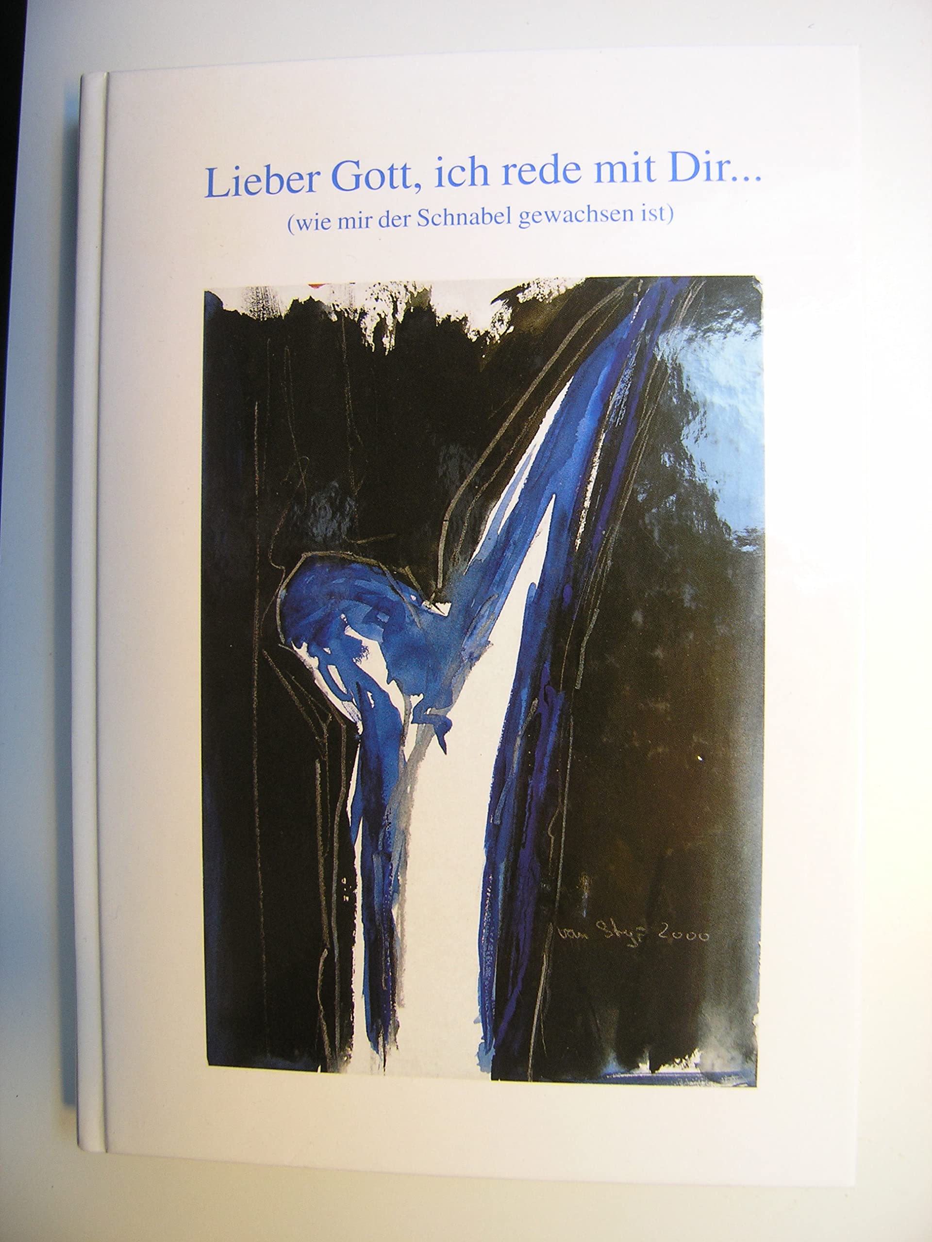 Lieber Gott, ich rede mit dir (wie mir der Schnabel gewachsen ist): Modernes Beten Contemporary literature
