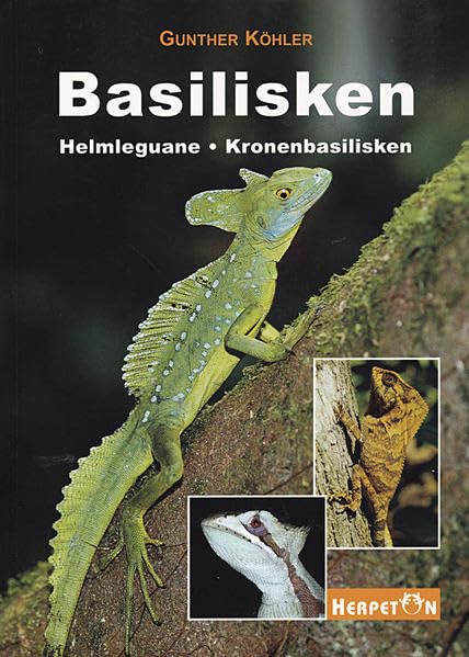 Basilisken Helmleguane Kronenbasilisken. Lebensweise Pflege Zucht. Pets