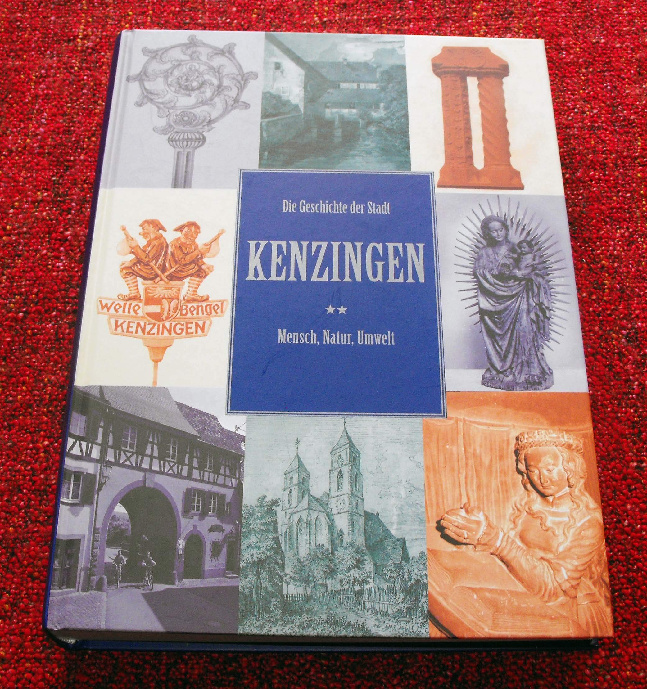 Geschichte der Stadt Kenzingen. Mensch, Natur, Umwelt Books