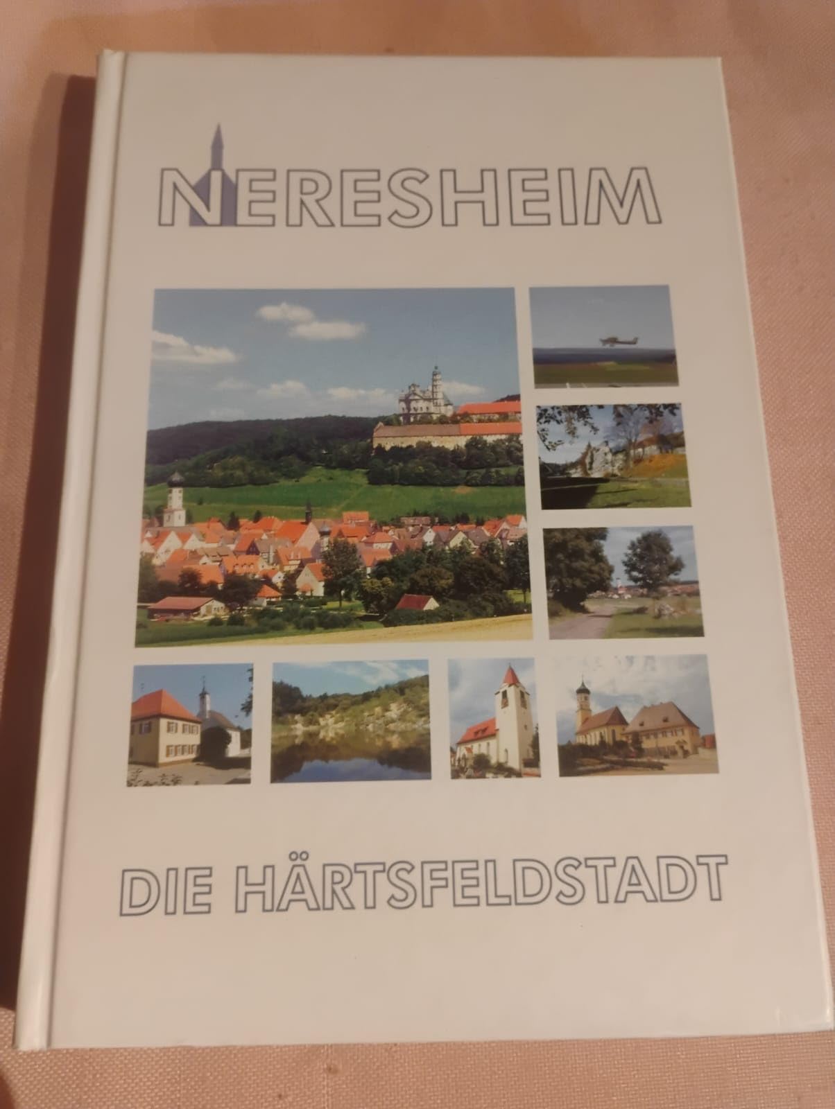 Guggenmusik in mittelalterlichen Gassen: 22 Jahre Schrägtonmusik in der ältesten Staufferstadt Schwäbisch Gmünd (Edition Ostalb) Social Sciences