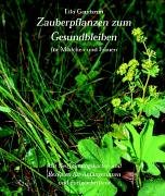 Zauberpflanzen zum Gesundbleiben: Für Mädchen und Frauen Leisure, Home & Garden