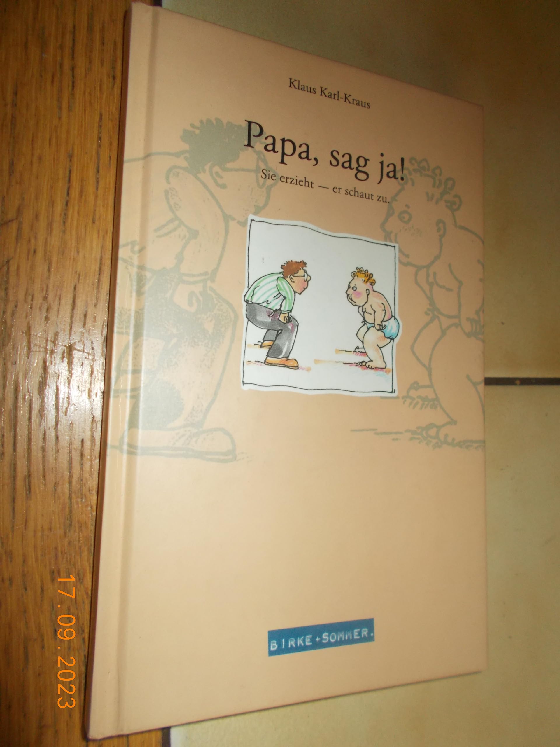 Papa, sag ja!: Sie erzieht - er schaut zu Books
