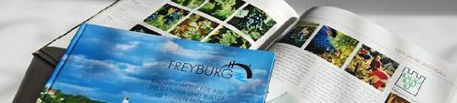 Freyburg /Unstrut: Ein Geheimtipp für alle die Genuss und Kultur verbinden möchten Books