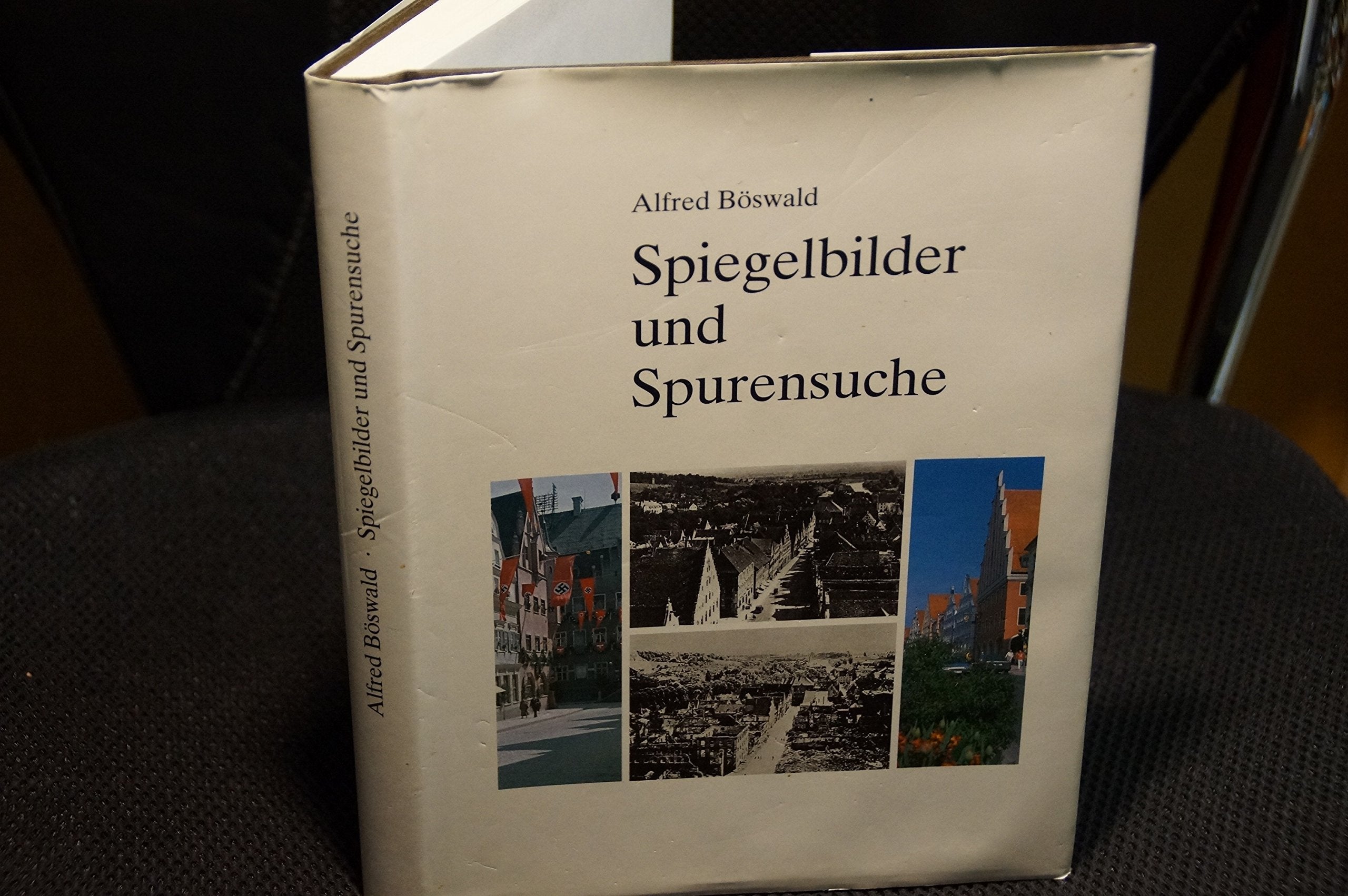 Spiegelbilder und Spurensuche: Studien zur Donauwörther Zeitgeschichte Books