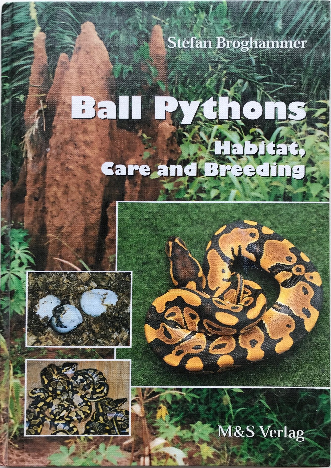 Ballpythons. Habitate, care and breeding Pets