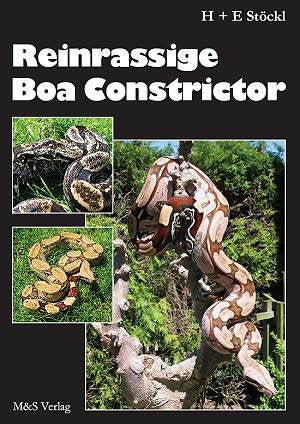 Reinrassige Boa constrictor Pets