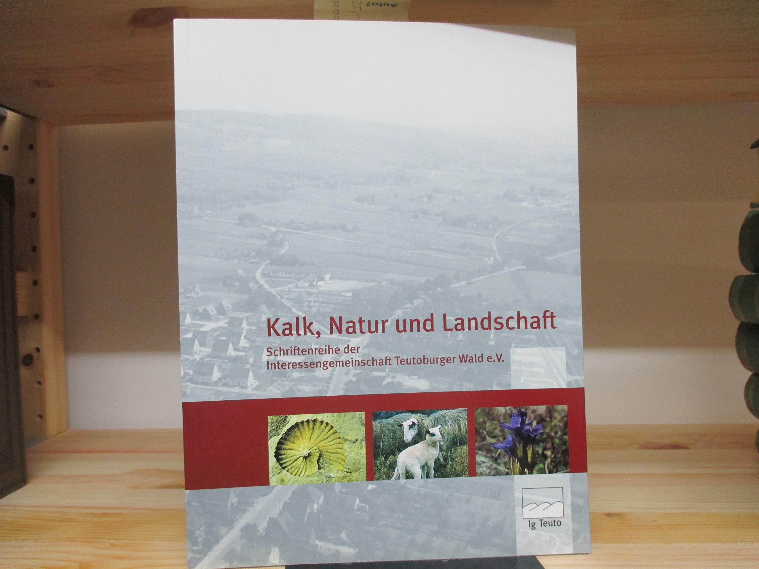 Kalk, Natur und Landschaft (Schriftenreihe der Interessengemeinschaft Teutoburger Wald) Books
