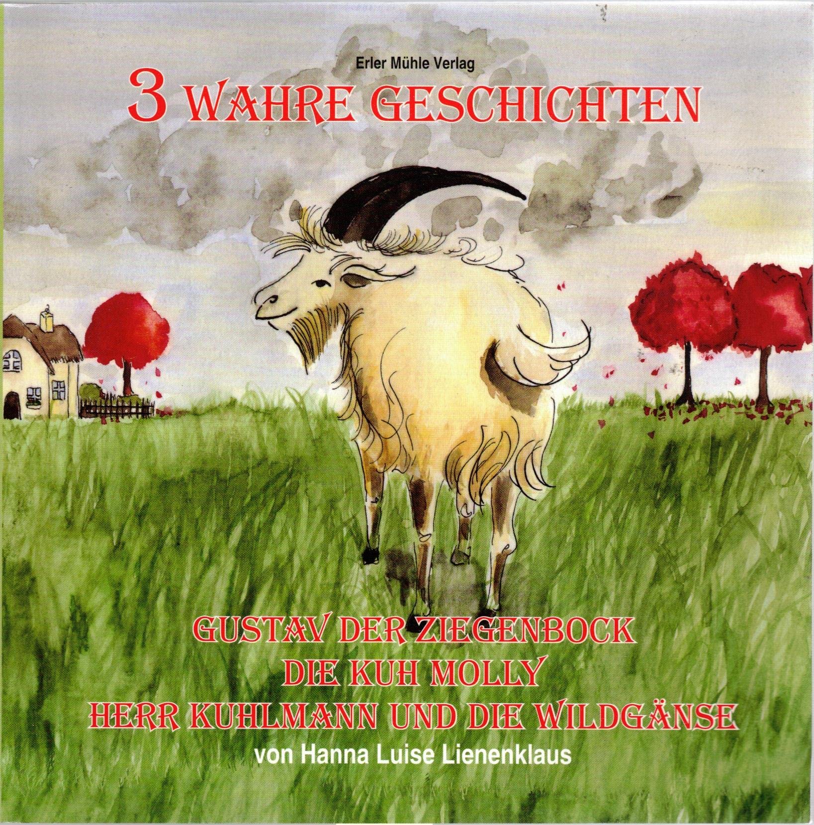 3 Wahre Geschichten Children's books