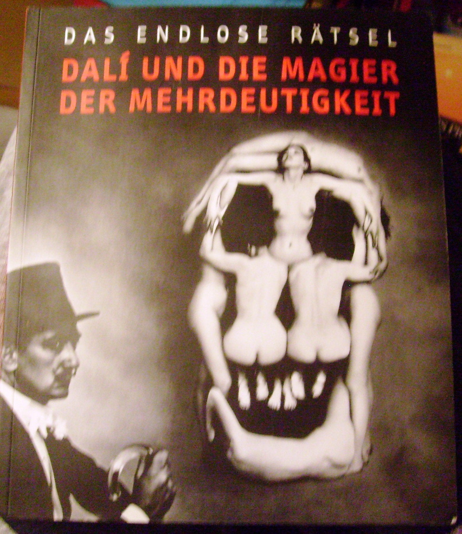 Das endlose Rätsel. Dalí und die Magier der Mehrdeutigkeit Social Sciences