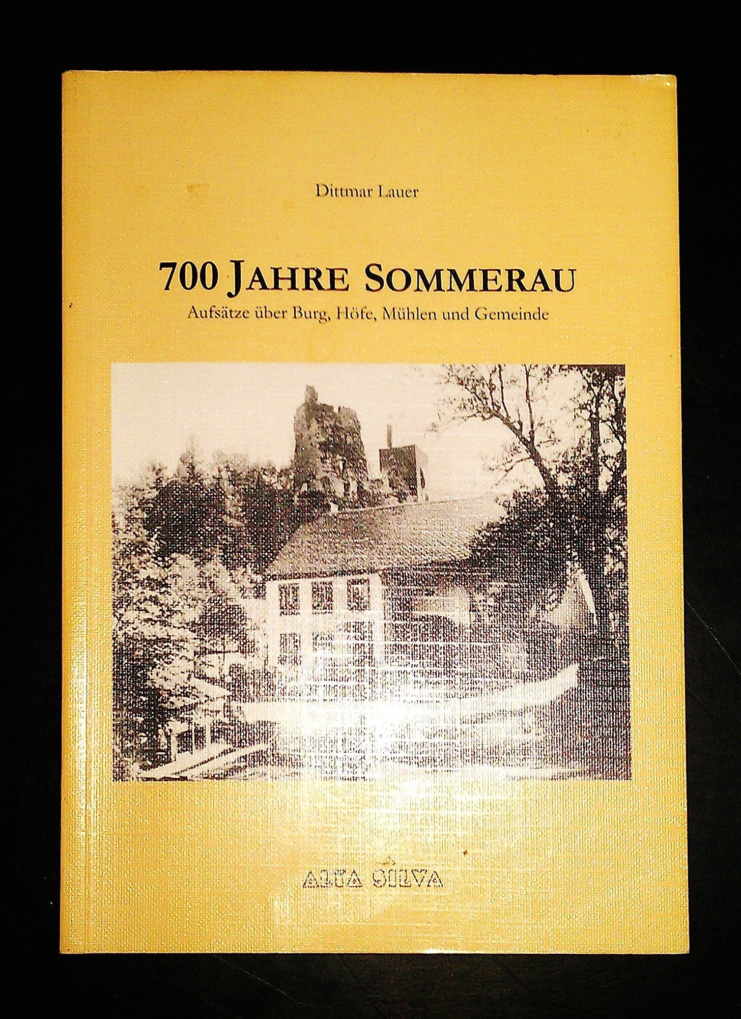 700 Jahre Sommerau, Aufsätze über Burg, Höfe, Mühlen und Gemeinde Books