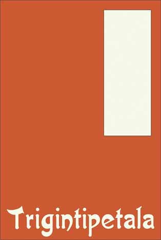 Trigintipetala. Die Wiederkehr des Gleichen book