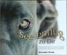 Seelenflug zu Dir / The Soul's Flight to you: Faszinierende Fotos von Deutschen Doggen mit poetischen Texten Books