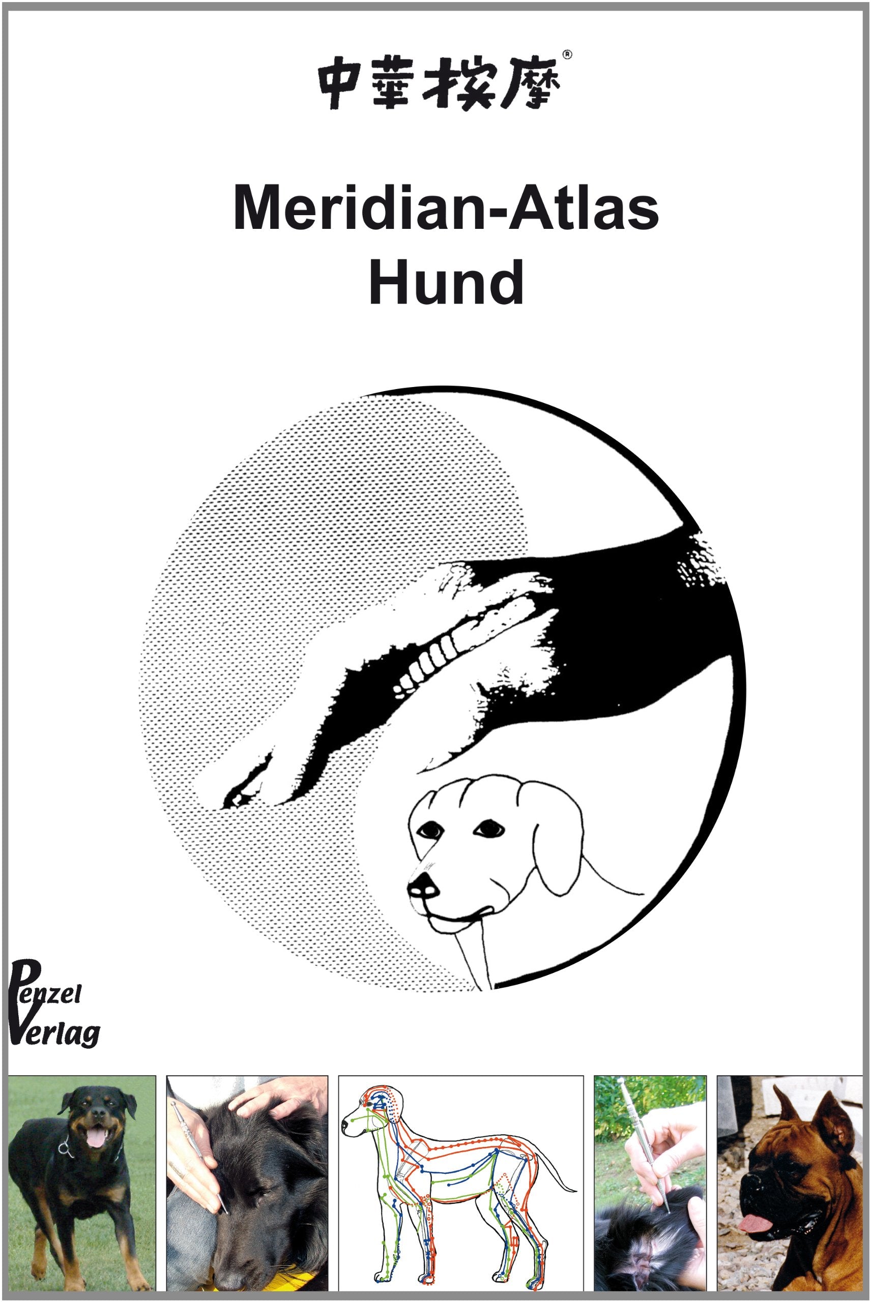 Akupunkt-Massage nach Penzel am Hund: Meridian-Atlas Hund book