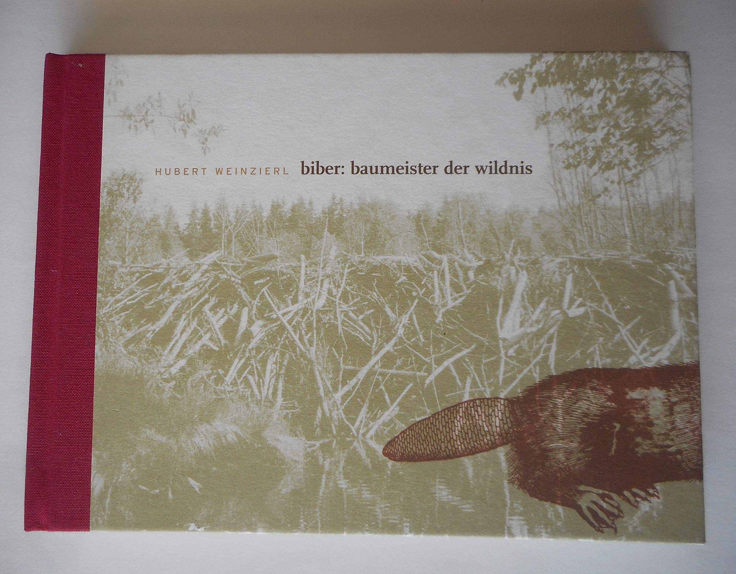 Biber: Baumeister der Wildnis Mathematics