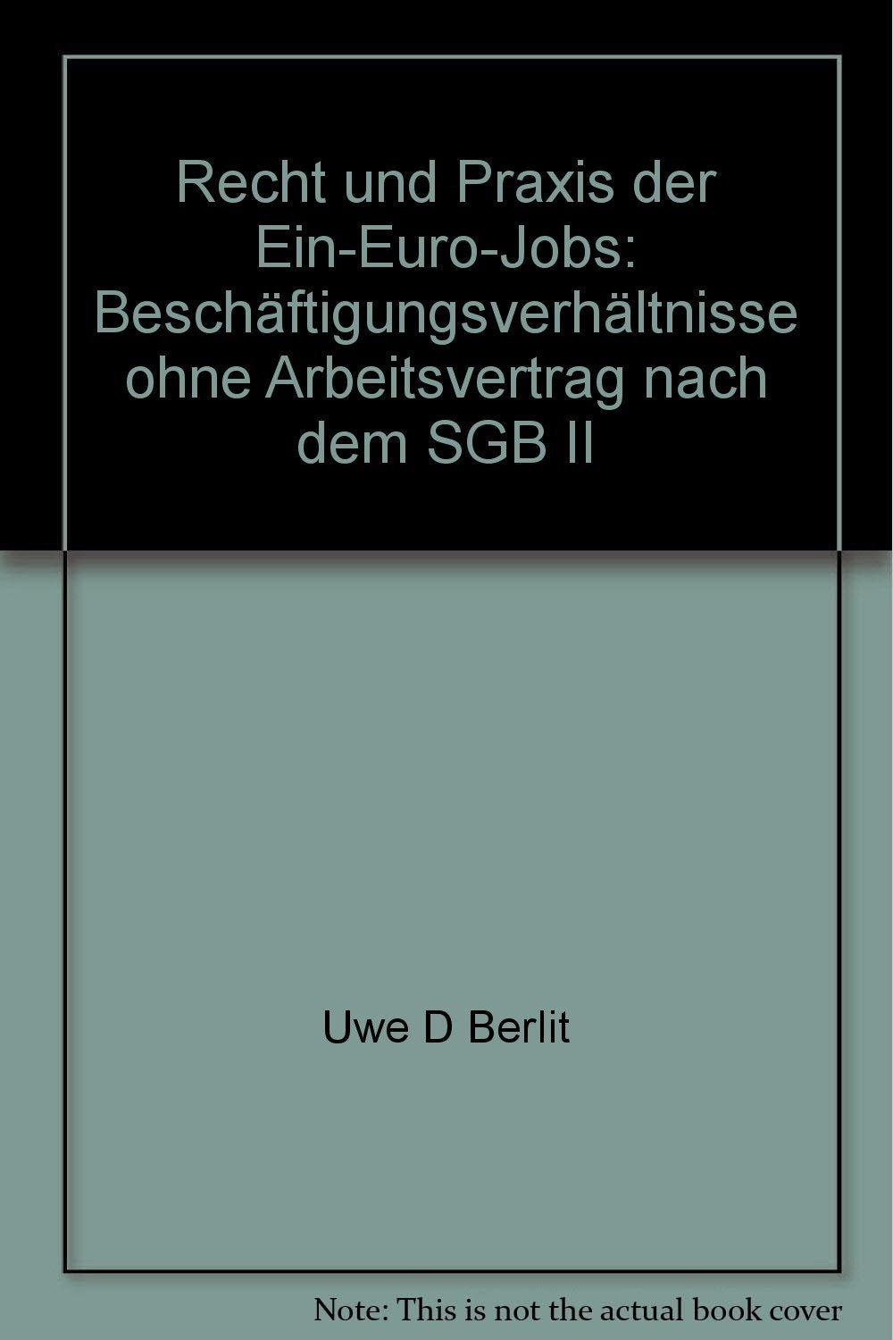 Recht und Praxis der Ein-Euro-Jobs: Beschäftigungsverhältnisse ohne Arbeitsvertrag nach dem SGB II Books