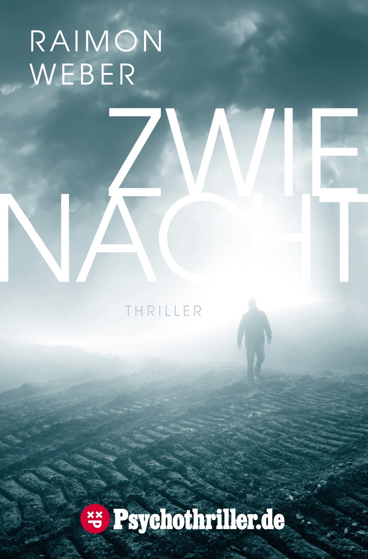 Zwienacht: Thriller - Weber, Raimon book