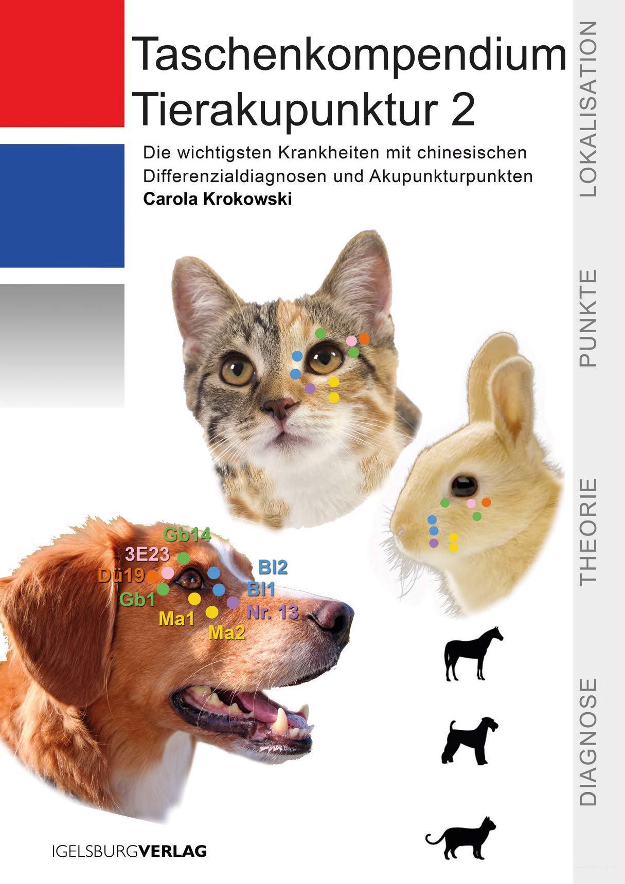 Taschenkompendium Tierakupunktur 2: Die wichtigsten Krankheiten mit chinesischen Differenzialdiagnosen und Akupunkturpunkten. Der "Spicker" für die Jackentasche! Medicine