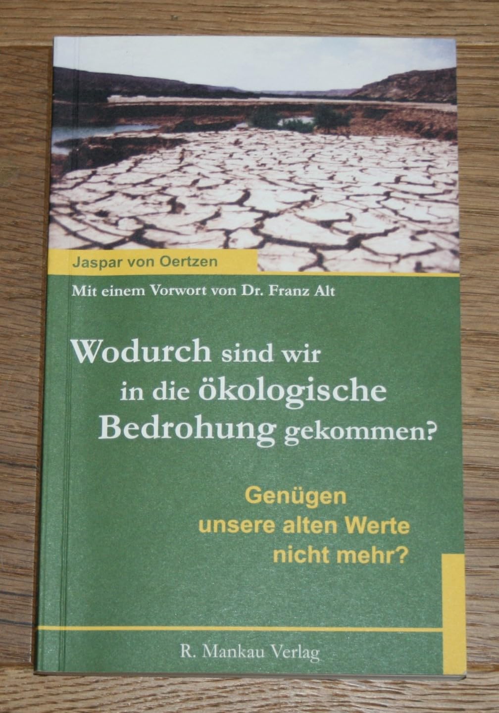 Wodurch sind wir in die ökologische Bedrohung gekommen?: Genügen unsere alten Werte nicht mehr? Philosophy