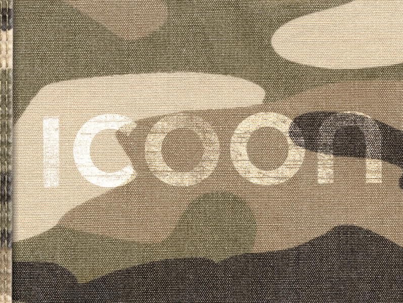 ICOON global picture dictionary (camouflage) - Bildwörterbuch: global picture dictionary - Bildwörterbuch Film, Art & Culture