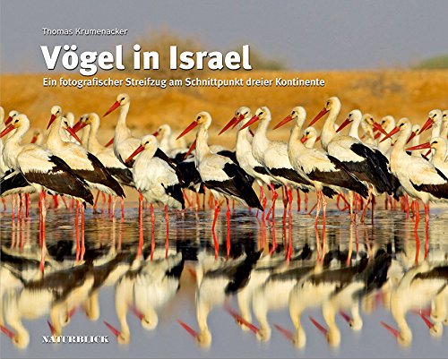 Product Image: Krumenacker, T: Vögel in Israel